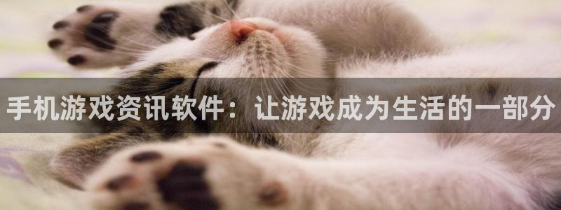 辉达娱乐官方平台：手机游戏资讯软件：让游戏成为生活的一部分