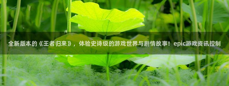 辉达娱乐平台登陆：全新版本的《王者归来》，体验史诗级的游戏世
