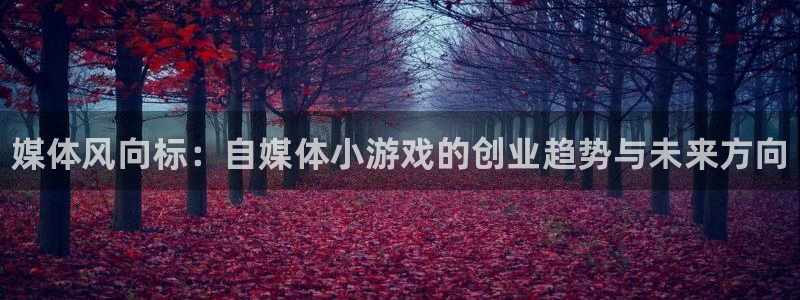 辉达娱乐平台负责人：媒体风向标：自媒体小游戏的创业趋势与未来