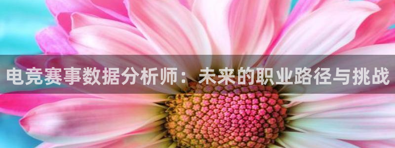 辉达娱乐4招商：电竞赛事数据分析师：未来的职业路径与挑战