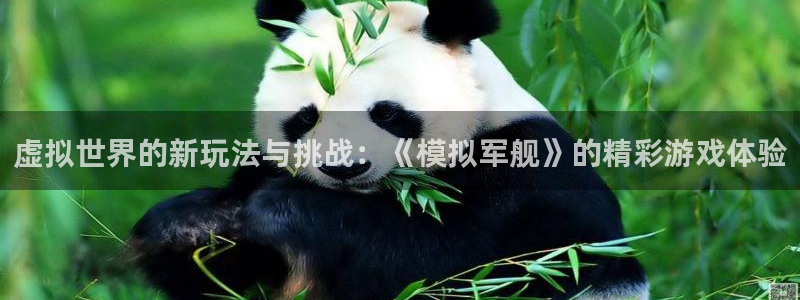 辉达娱乐app下载：虚拟世界的新玩法与挑战：《模拟军舰》的精