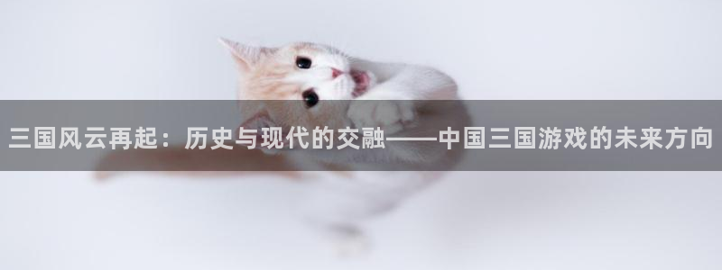 辉达娱乐直属：三国风云再起：历史与现代的交融——中国三国游戏