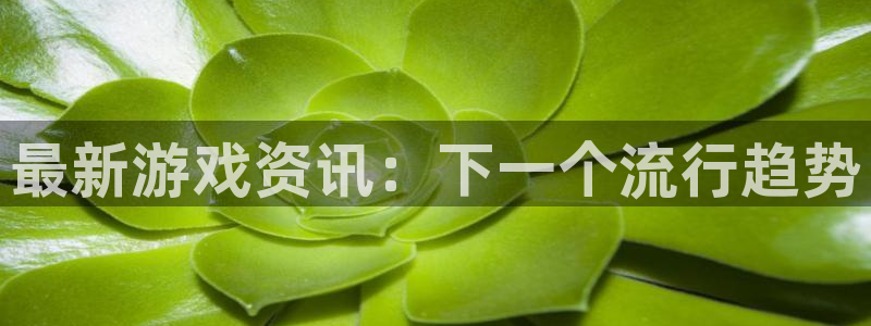 辉达娱乐科技：最新游戏资讯：下一个流行趋势