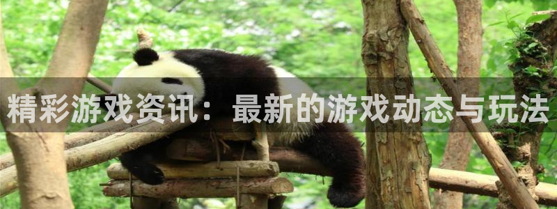 辉达娱乐登录:精彩游戏资讯:最新的游戏动态与玩法