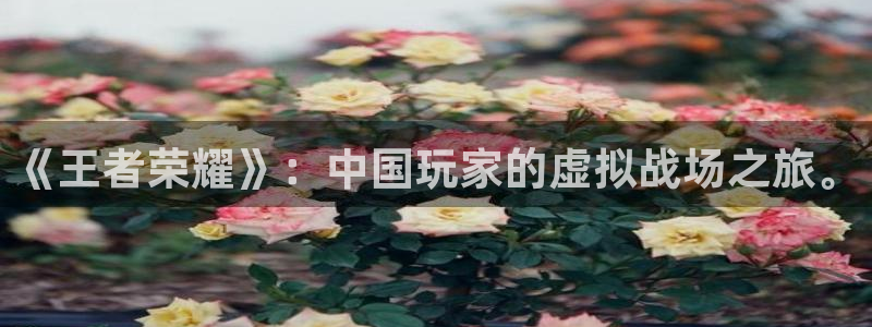 辉达娱乐平台官方网站