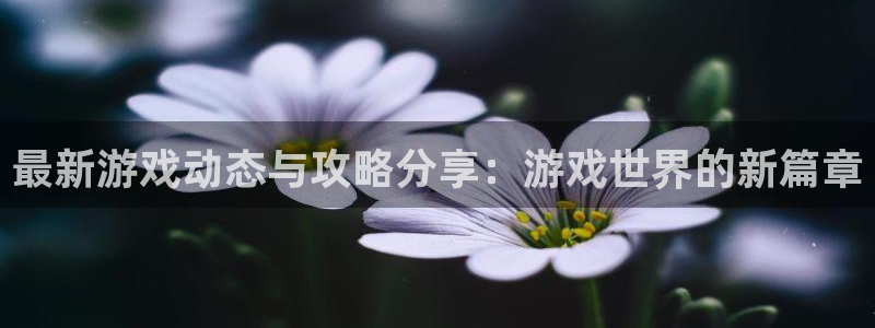 辉达娱乐的意思：最新游戏动态与攻略分享：游戏世界的新篇章