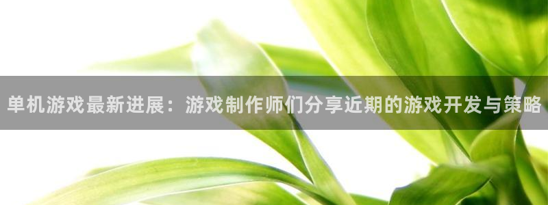 辉达娱乐注册地址：单机游戏最新进展：游戏制作师们分享近期的游