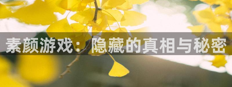 辉达娱乐下载：素颜游戏：隐藏的真相与秘密