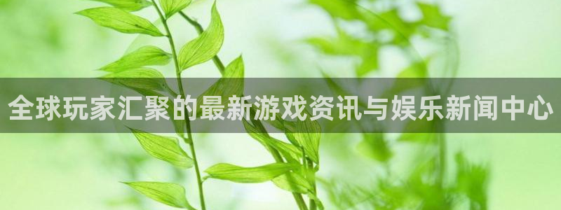 辉达娱乐2登录：全球玩家汇聚的最新游戏资讯与娱乐新闻中心
