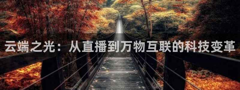 雨燕体育直播平台