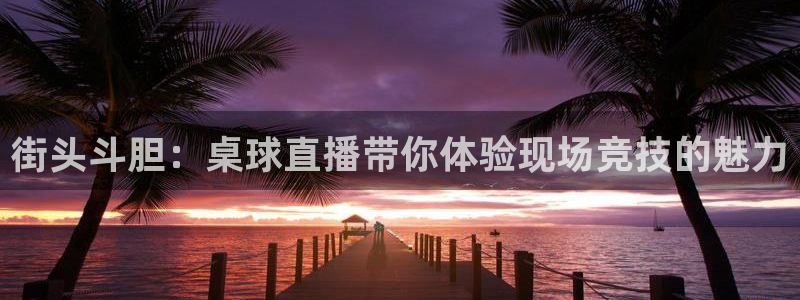 雨燕直播体育app下载ios