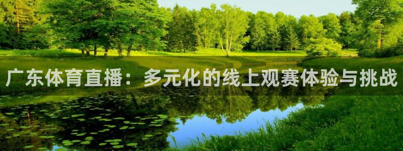 雨燕足球直播官网：广东体育直播：多元化的线上观赛体验与挑战