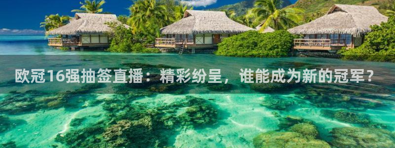 足球直播免费雨燕：欧冠16强抽签直播：精彩纷呈，谁能成为新的冠军？