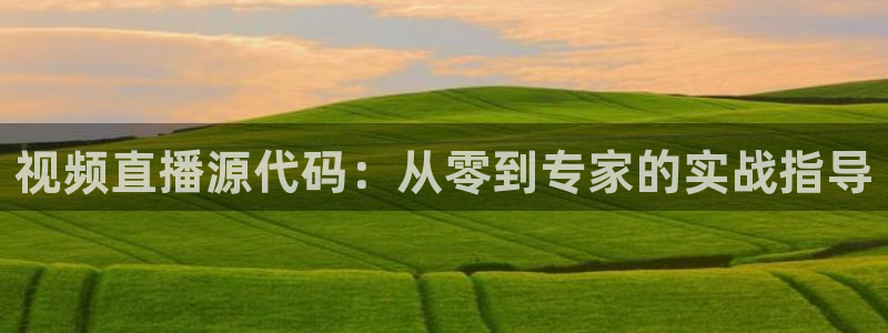nba直播在线雨燕：视频直播源代码：从零到专家的实战指导