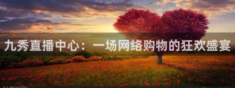 nba雨燕直播在线观看：九秀直播中心：一场网络购物的狂欢盛宴