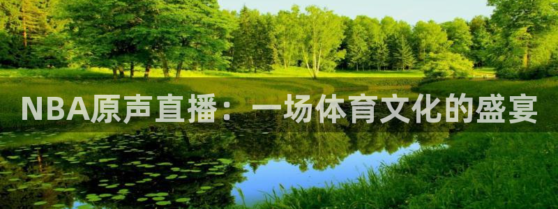 360足球比赛直播雨燕：NBA原声直播：一场体育文化的盛宴
