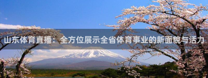 雨燕直播360高清直播nba：山东体育直播：全方位展示全省体育事业的新面貌与活力