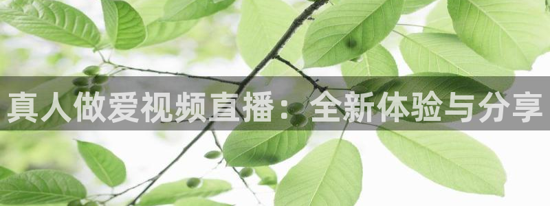 雨燕360体育现场直播：真人做爱视频直播：全新体验与分享
