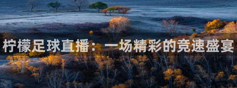 雨燕直播nba在线观看官网：柠檬足球直播：一场精彩的竞速盛宴
