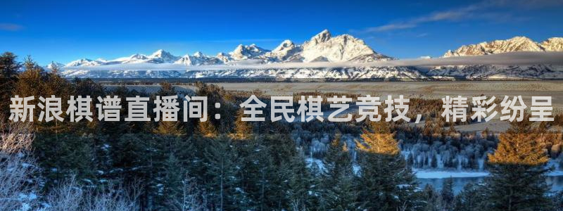 雨燕体育直播高清nba：新浪棋谱直播间：全民棋艺竞技，精彩纷呈
